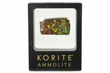 Iridescent Ammolite (Fossil Ammonite Shell) - Rainbow Colored #336285-1